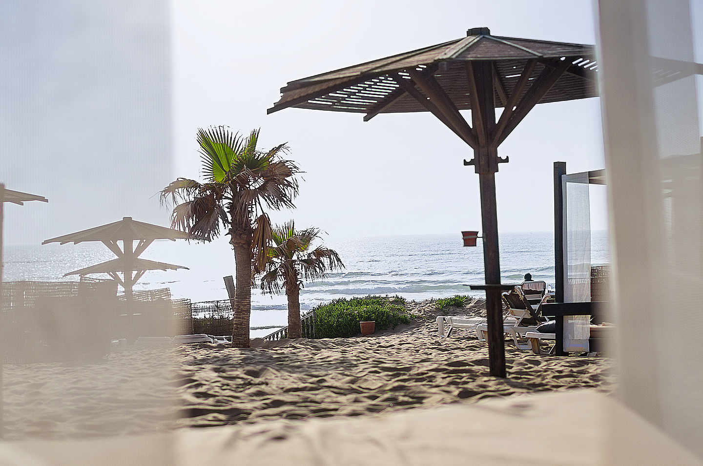 Strand und Meer mit Palmen und Sonnenschirmen