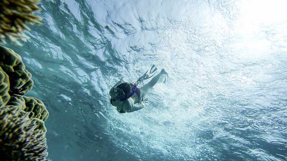eine Frau die abtaucht um Korallen zubeobachten