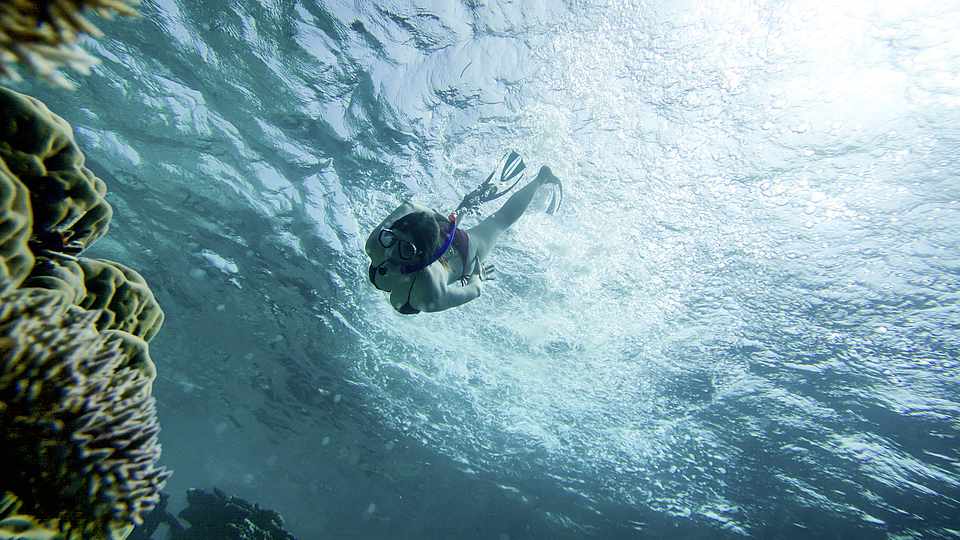 eine Frau die abtaucht um Korallen zubeobachten