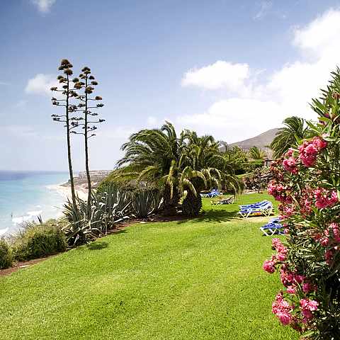 Robinson Club Esquinzo Playa Fuerteventura Robinson Com