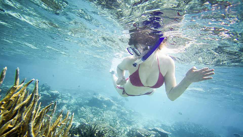 Frau beim Schnorcheln, Tauchen, Unterwasserwelt, Fische