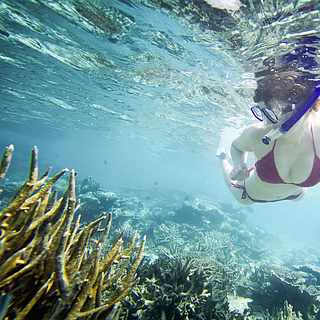 Eine Frau die beim Schnorcheln einige Korallen sieht