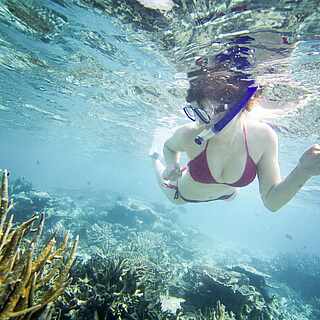 Eine Frau die beim Schnorcheln einige Korallen sieht