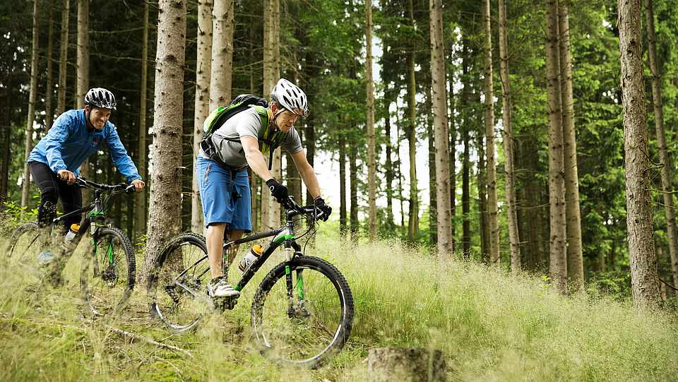 In einem Wald fahren zwei Männer Mountainbike. Sie tragen Helme.